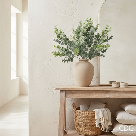 Eleganza Naturale: Eucalipto a Cespuglio EDG per la Tua Casa