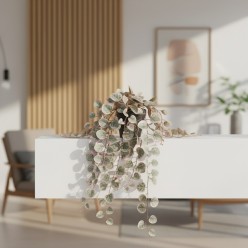 Ceropegia Variegata in Vaso H40 | Sfumatue Rosa | Pianta Pendente Artificiale EDG