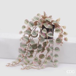 Ceropegia Variegata in Vaso H40 | Sfumatue Rosa | Pianta Pendente Artificiale EDG