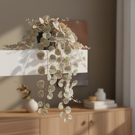 Ceropegia Variegata in Vaso H40 | Sfumatue Rosa | Pianta Pendente Artificiale EDG