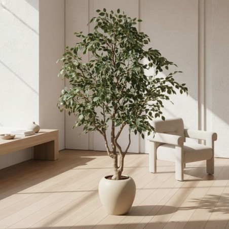 Ficus Beniamino Vogue XXL H240 cm | Pianta Artificiale di Lusso | EDG