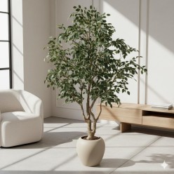 Ficus Beniamino Vogue XXL H240 cm | Pianta Artificiale di Lusso | EDG