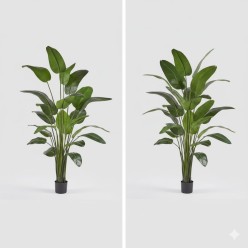 Pianta artificiale Sterlitzia 185 cm o 260 cm - EDG