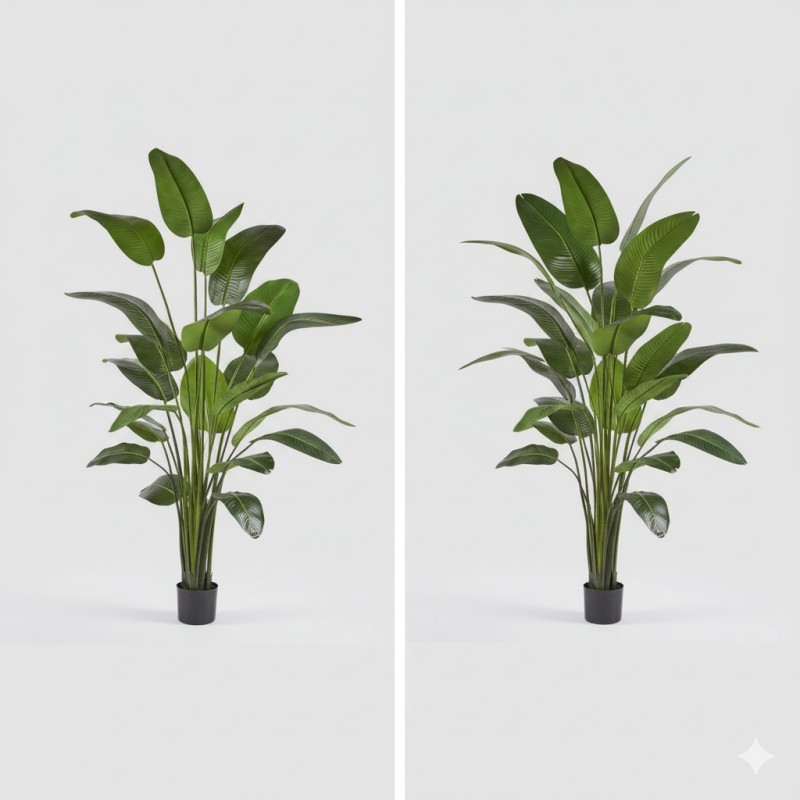 Pianta artificiale Sterlitzia 185 cm o 260 cm - EDG