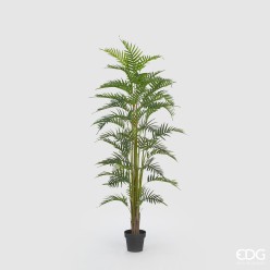 Palma Areca Artificiale H180 cm | Pianta Tropicale Realistica | Enzo de Gasperi (EDG)