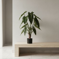 Alocasia Artificiale con Vaso | Pianta Tropicale | H90 - H196 cm EDG