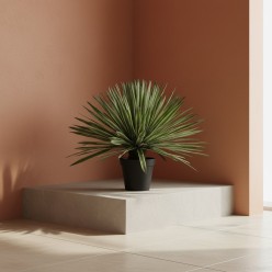 Agave Succulenta Artificiale con Vaso | Pianta di Design | H65 e H80 cm EDG