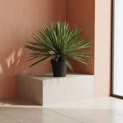 Agave Succulenta Artificiale con Vaso | Pianta di Design | H65 e H80 cm EDG