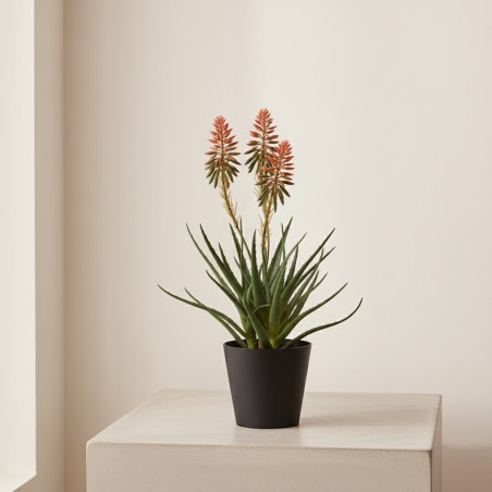 aloe artificiale fiorita h50 edg ambiente