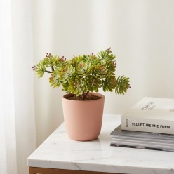 Crassula Ovata Artificiale H12 cm verde rosa | Enzo de Gasperi