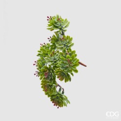 Crassula Ovata Artificiale H12 cm verde rosa | Enzo de Gasperi
