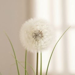 Ramo di Festuca Tarassaco Artificiale H100 cm | Stelo di Design Minimalista dettaglio
