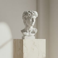 dettaglio viso scultura adone edg