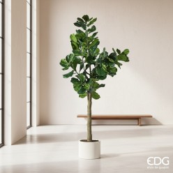 Ficus Lyrata Artificiale H275 cm | Pianta Violino di Design EDG
