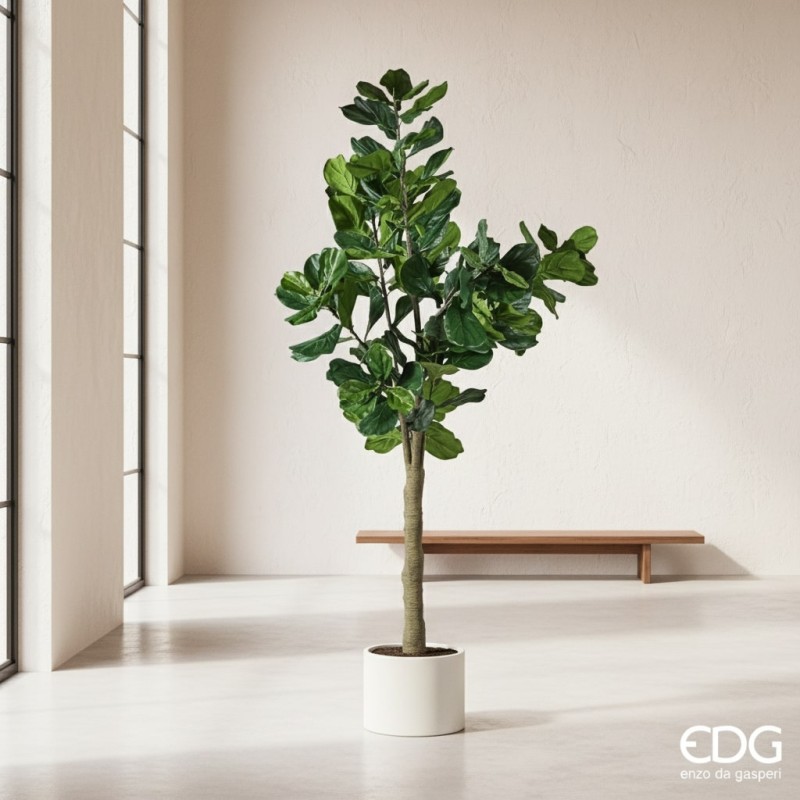 ficus lyrata gigante dettaglio foglie realismo