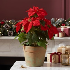 stella di natale artificiale grande h40 cm edg