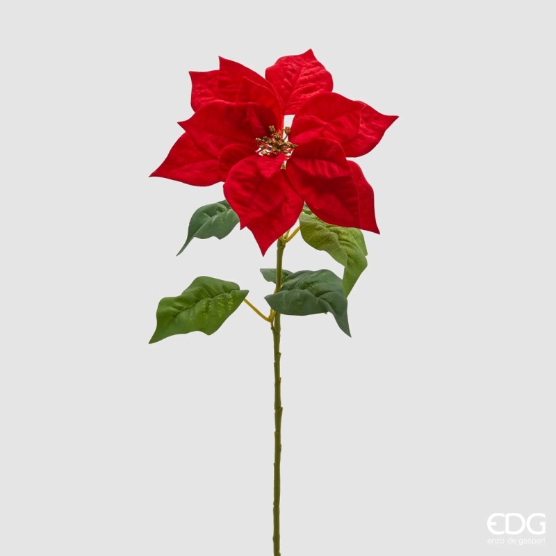 Ramo Stella di Natale Stelo decorativo Enzo De Gasperi