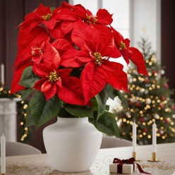 Bouquet di cinque splendide Stelle di Natale per un centrotavola impeccabile e vibrante