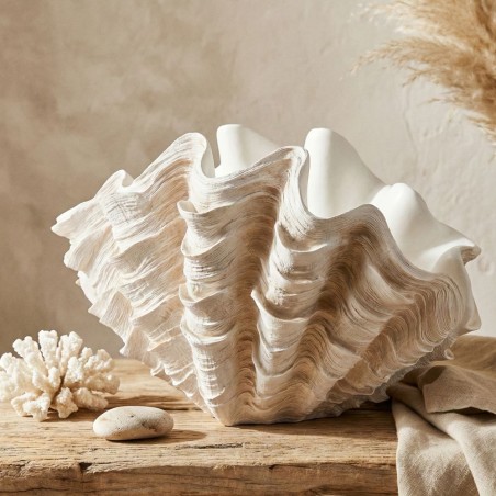 Soffio d'Oceano: Vaso Conchiglia Tridacna Maxi EDG