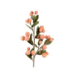 Stelo di Balausta L'Oca Nera – Architettura Botanica d’Autore (100 cm)