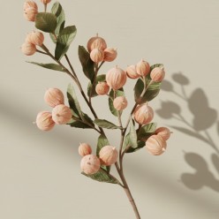 Stelo di Balausta L'Oca Nera – Architettura Botanica d’Autore (100 cm)