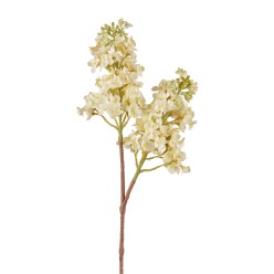 Fiore di Lillà Bianco L'Oca Nera – Stelo realistico (66 cm)