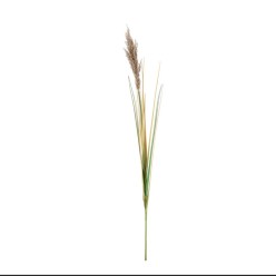 Ramo Gynerium Pampas H110: L’Essenza del Minimalismo Chic Home Decor