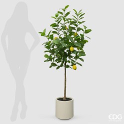 Pianta di Limoni Artificiale Vogue H160 cm | Lemoire Home