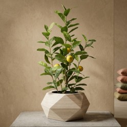 Pianta Artificiale Limone Vogue Enzo de Gasperi 97 cm