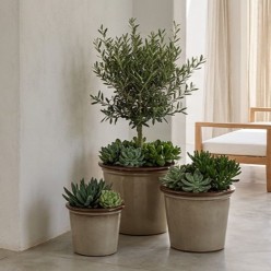 Set 3 Cachepot in Ceramica Smaltata Bordo Tondo | Lemoire Home
