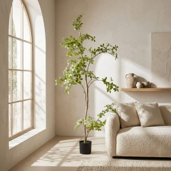 Pianta Artificiale Bucida Buceras H160 Luxury | Lemoire Home