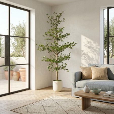 Albero Artificiale Bucida Buceras 240cm EDG | Lemoire Home