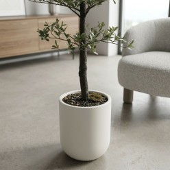 Albero Artificiale Bucida Buceras 240cm EDG | Lemoire Home