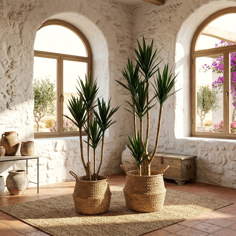 Yucca Artificiale Deluxe EDG con Vaso | Selezione Lemoire Home Yucca Artificiale Deluxe EDG con Vaso | Selezione Lemoire Home
