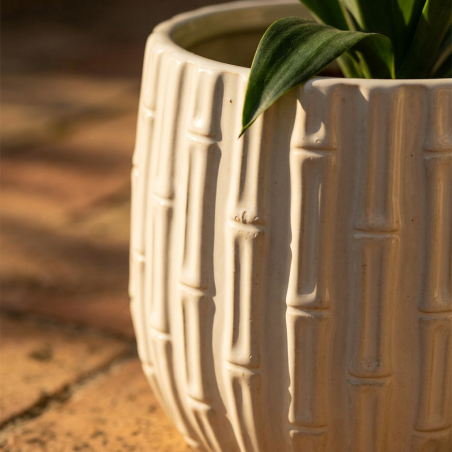 Set 3 Vasi Cachepot Similbamboo Avorio EDG | Lemoire Home