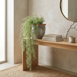 Cespuglio Asparagus Cadente H86 Light Green | Lemoire Home