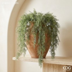 Cespuglio Asparagus Cadente H86 Light Green | Lemoire Home