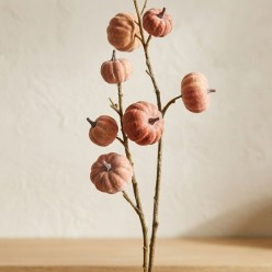 Ramo Autunnale con Zucche Decorative H90 – Selezione Lemoire Home