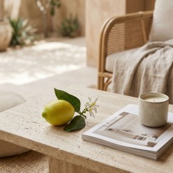 Ramo Limone Artificiale con Fiore 12cm | Selezione Lemoire Home