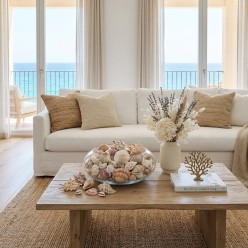 Conchiglie Marine Naturali - Set Decorativo Deluxe EDG