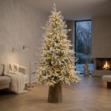 Pino Cortina Innevato EDG H240 con 3400 MiniLED | Lemoire Home