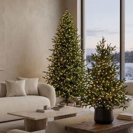 Pino Lucciole EDG con Rice LED Integrati – Albero di Natale Enzo De Gasperi