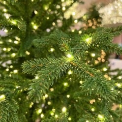 Pino Lucciole EDG con Rice LED Integrati – Albero di Natale Enzo De Gasperi