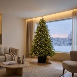 Pino Lucciole EDG con Rice LED Integrati – Albero di Natale Enzo De Gasperi