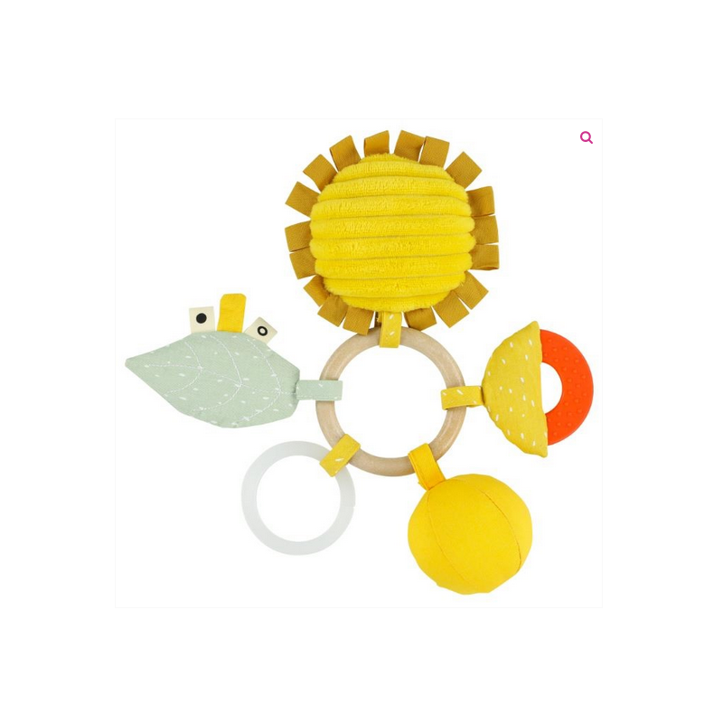 Activity Ring Leoncino per Bebè: Gioco Educativo e Amico dei Dentini Activity Ring Leoncino per Bebè: Gioco Educativo e Amico dei Dentini