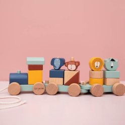Trenino in Legno per Bebè: Un Viaggio di Scoperte e Creatività