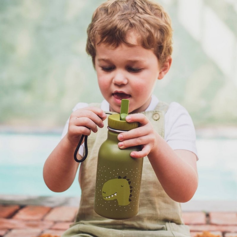 Borraccia Termica con Dinosauro Mr Dino per Bambini da Asilo Borraccia Termica con Dinosauro Mr Dino per Bambini da Asilo