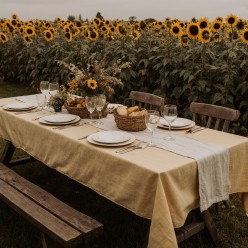 Tempio di Demetra: tovagliato giallo pastello ispirato a Demetra, dea dell'agricoltura