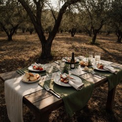 Tovagliette americane 35x50 cm in 100% cotone verde oliva - collezione Meleagro