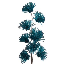 Echium Avio L'OCA NERA stelo real touch
